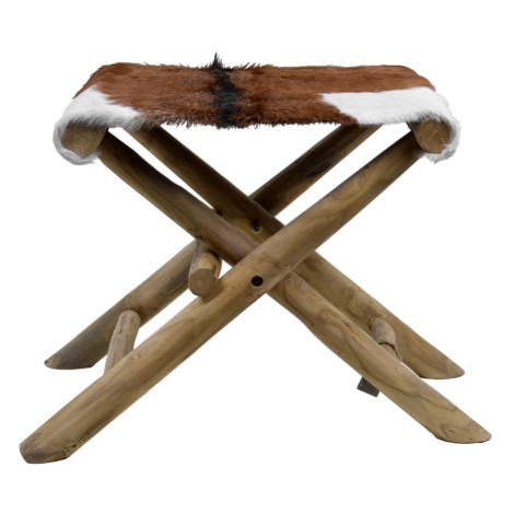 Hnedá stolička z teakového dreva Goatskin - Ego Dekor