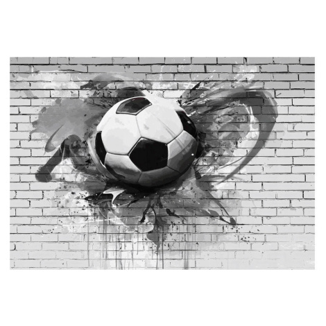 Wallarena 3D futbalová fototapeta sivá 350x250 cm