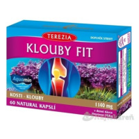 Terezia Company Klouby fit 60 kapsúl