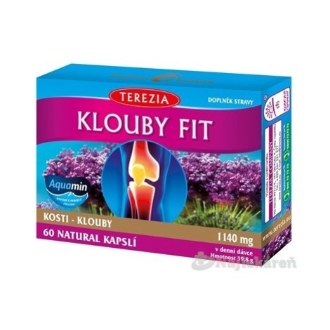 Terezia Company Klouby fit 60 kapsúl