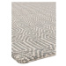 Svetlosivý vlnený koberec 100x150 cm Sloan – Asiatic Carpets