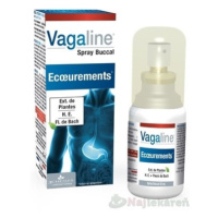 3CHENES Vagaline Spray Buccal, sprej proti zvracaniu, 25ml