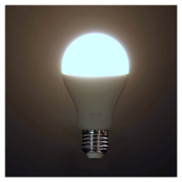 RLL 325 A67 E27 žiarovka 20W DL RETLUX