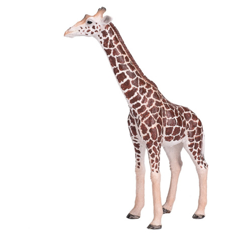 Mojo Žirafa samica