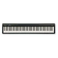 Roland FP-10 BK