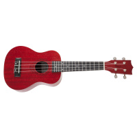 Tanglewood TWT 1 TR