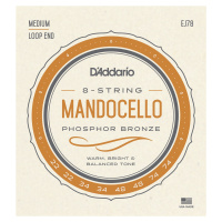 D'Addario EJ78