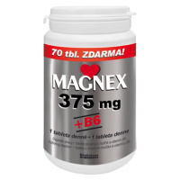 MAGNEX 375 mg + vitamín B6 250 tabliet