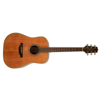 Takamine GD20-NS