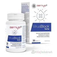 Barny's VirusBlock forte 20 ks