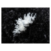 DW Čierno-biely bodkovaný koberec Febie Rozmer: 80x150 cm