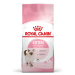 Royal Canin FHN KITTEN granule pre mačiatka 10kg