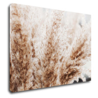 Impresi Obraz Suchá tráva škandinávsky štýl - 70 x 50 cm
