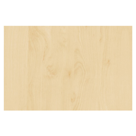 KT0438-643 Samolepiace fólie d-c-fix samolepiaca tapeta breza, veľkosť 67,5 cm x 2 m