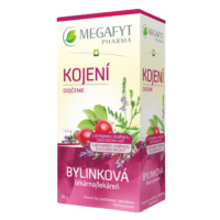 MEGAFYT Bylinková lekáreň Dojčenie 20 x 1.5 g