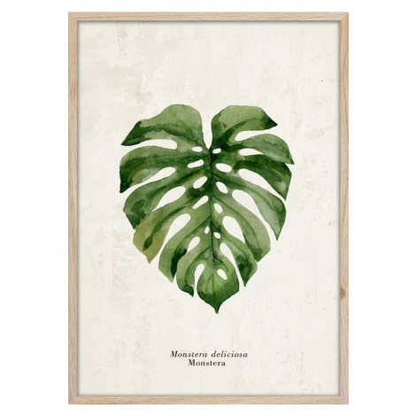 Plagát v ráme 50x70 cm Monstera - Styler