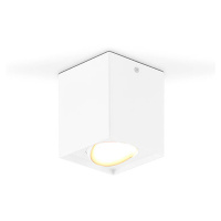 EVN Kardanus stropné LED svetlo, 9x9 cm, biela