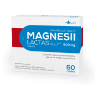 MAGNESII LACTAS 500 mg tablety 60 ks