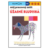 Môj pracovný zošit - Úžasné bludiská