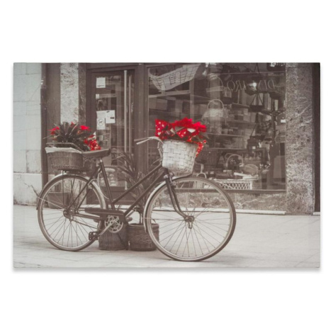 Divero 74522 Nástenná maľba bicykel s vianočnou hviezdou, 40 x 60 cm