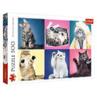 Trefl Puzzle 500 Mačiatka