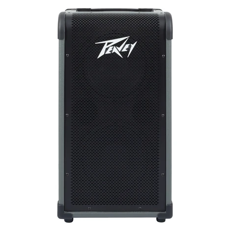 Peavey Max 208