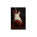 Fender Custom Shop 2021 Stratocaster 69 Relic Masterbuilt Greg Fessler