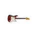 Fender Custom Shop 2021 Stratocaster 69 Relic Masterbuilt Greg Fessler