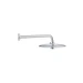 Grohe Euphoria hlavová sprcha chróm 26458000 G26458000