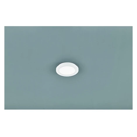Reality Camillus led stropné osvetlenie biela re r62921001 RER62921001