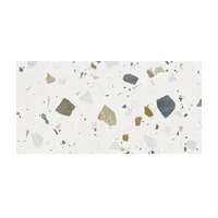 Dlažba Pastorelli Colorful light 60x120 cm mat P010517