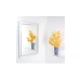 Amirro Salto zrkadlo s fazetou 60x80 cm 703-533 ZSA8060F