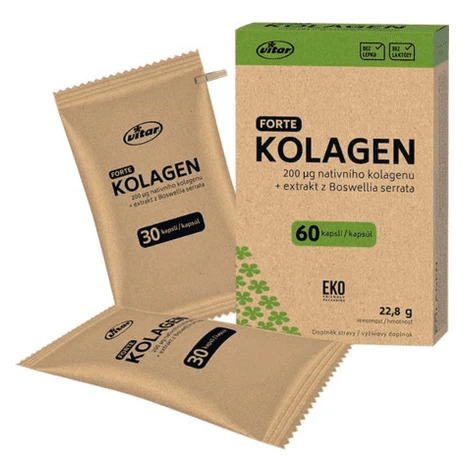 VITAR Kolagén forte + extrakt z Boswellia serrata EKO 60 cps Vitar Veteriane