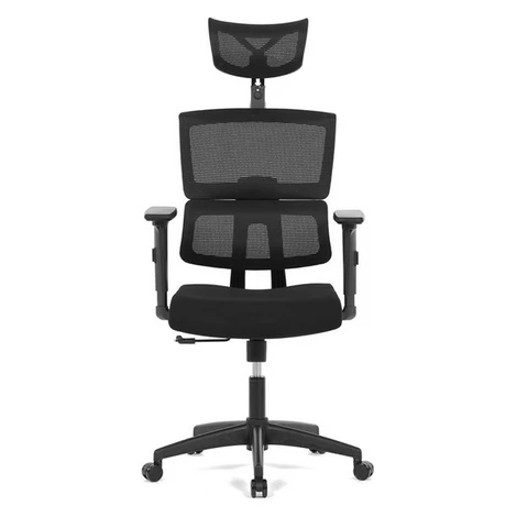 AUTRONIC Kancelárska stolička KA-B1025 BK, čierna, sieťovina