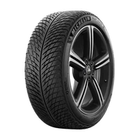 Michelin Pilot Alpin 5 ( 295/35 R22 108W XL EV Suitable, SUV, s ochrannou lištou ráfika (FSL) )
