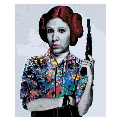 Maľovanie podľa čísel - POP ART PRINCEZNA LEIA (STAR WARS) Rámovanie: vypnuté plátno na rám, Roz