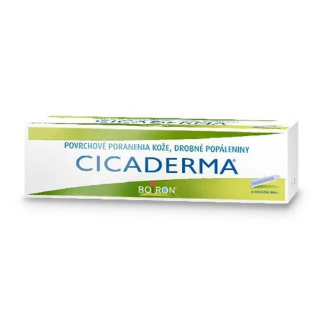 BOIRON Cicaderma dermálna masť 30 g