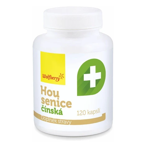 WOLFBERRY Húsenica čínska 120 kapsúl