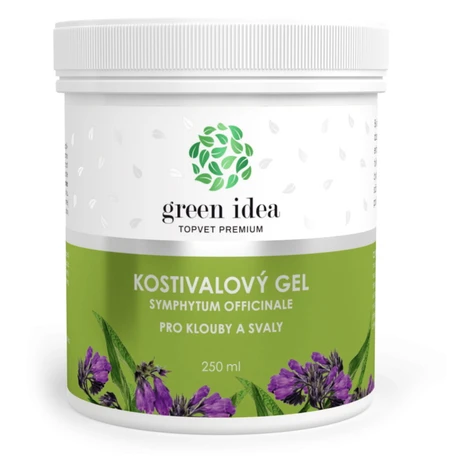 GREEN IDEA Kostihojový masážny gél 250 ml