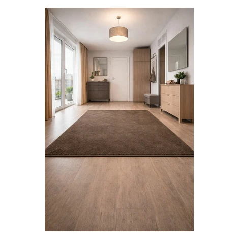 Kusový koberec Eton hnědý 97, 50x80, hnědá, chodba / předsíň, Vopi