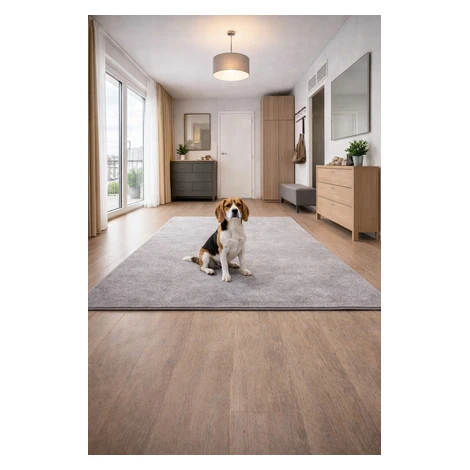 Kusový koberec Eton šedý 73, 300x400, šedá, chodba / předsíň, Vopi