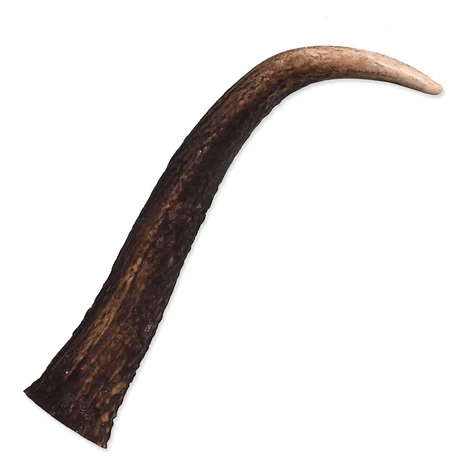 Pochúťka Paroh jeleň XL Ontario