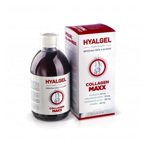 Hyalgel Collagen MAXX 500 ml