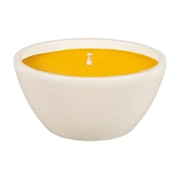 NOHEL GARDEN Vonná sviečka proti hmyzu citronella MERKUR, pr. 15 cm