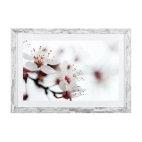 Bondecor Obraz v modernom ráme Flora 37 x 53 cm