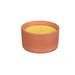 NOHEL GARDEN Vonná sviečka proti hmyzu citronella v ker. nádobe, pr. 11 cm
