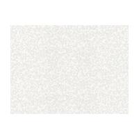A.S. Creation Vliesová tapeta Shades of White 641618, 10,05 x 0,53 m