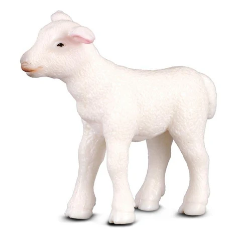 COLLECTA Jahňa