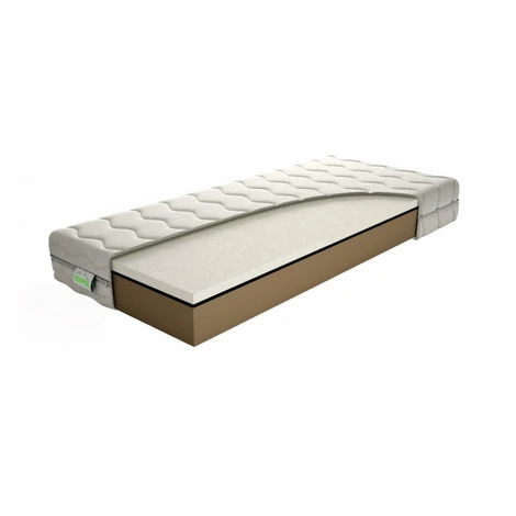 TEXPOL Kvalitný penový matrac PEGAS PLUS Rozmer: 195x80, Poťahová látka: Aloe Vera Silver