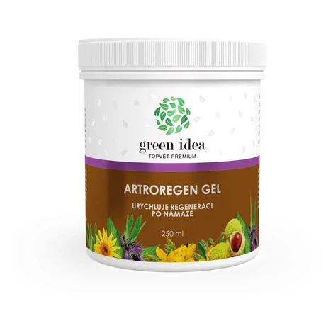 Green idea idea Artroregen masážny gél 250 ml